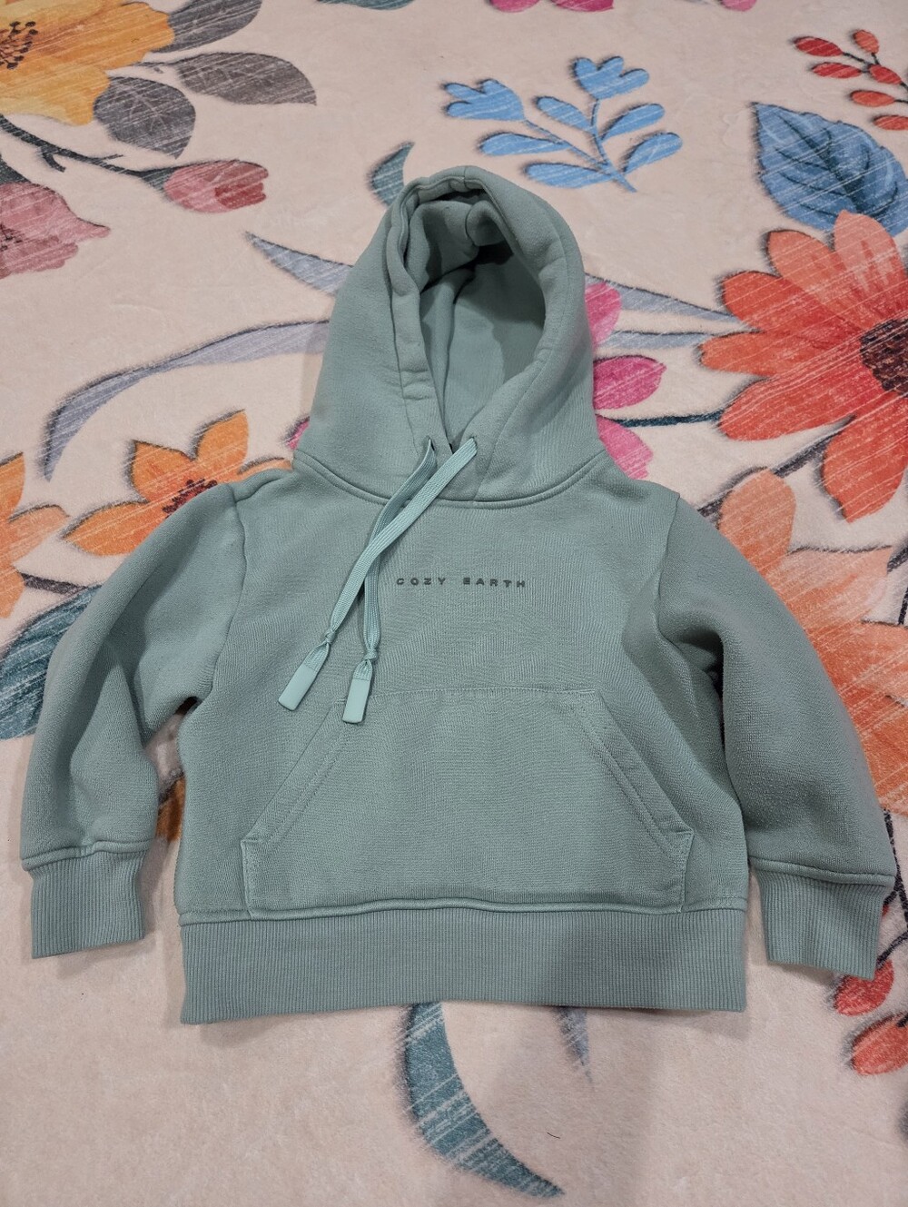 Cozy Earth Toddler Green Hoodie Size 3/4